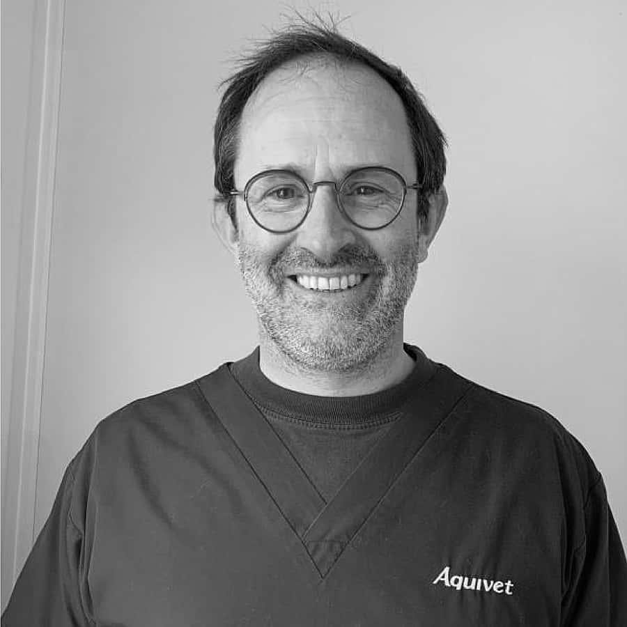 Dr. Vet. Sébastien Viaud, Spécialiste européen en dermatologie vétérinaire au CHV Aquivet (près de Bordeaux)