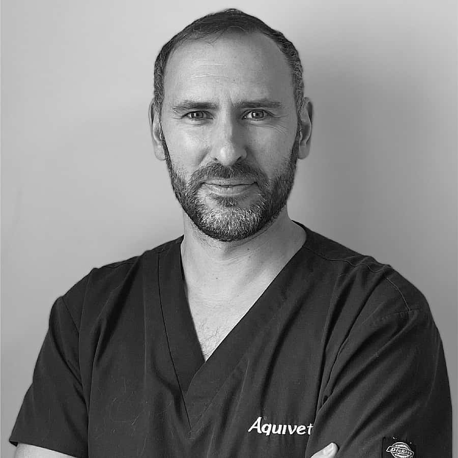 Dr. Vet. Menaut, Spécialiste européen en cardiologie vétérinaire au CHV Aquivet (près de Bordeaux)