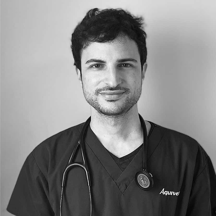 Dr. Vet. Bennaïm, spécialiste européen en médecine interne des animaux de compagnie au CHV Aquivet (près de Bordeaux)
