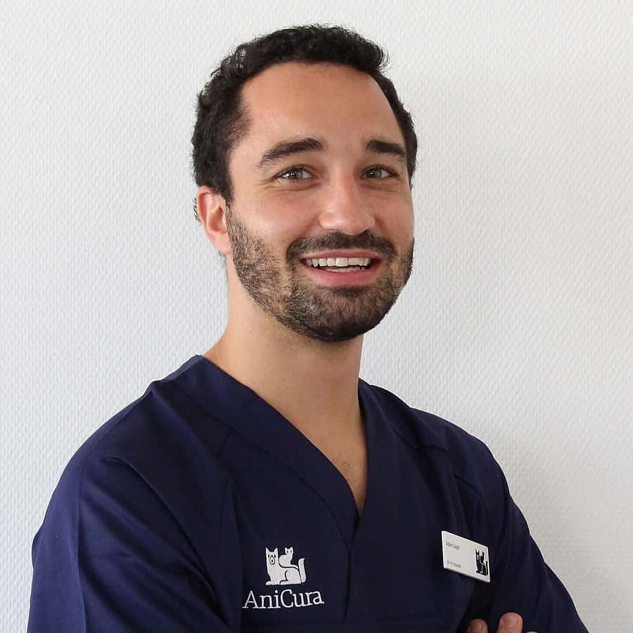 Dr. Vet. Sapet, Vétérinaire assistant d'imagerie médicale à la clinique AniCura TRIOVet à Rennes