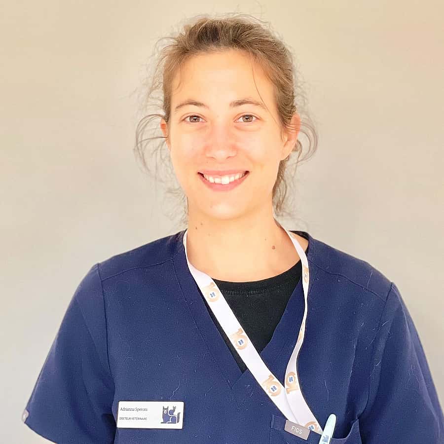 Dr. Vet. Speroni Responsable du service d’urgences et de soins intensifs CHV AniCura Nordvet la Madeleine (Lille)