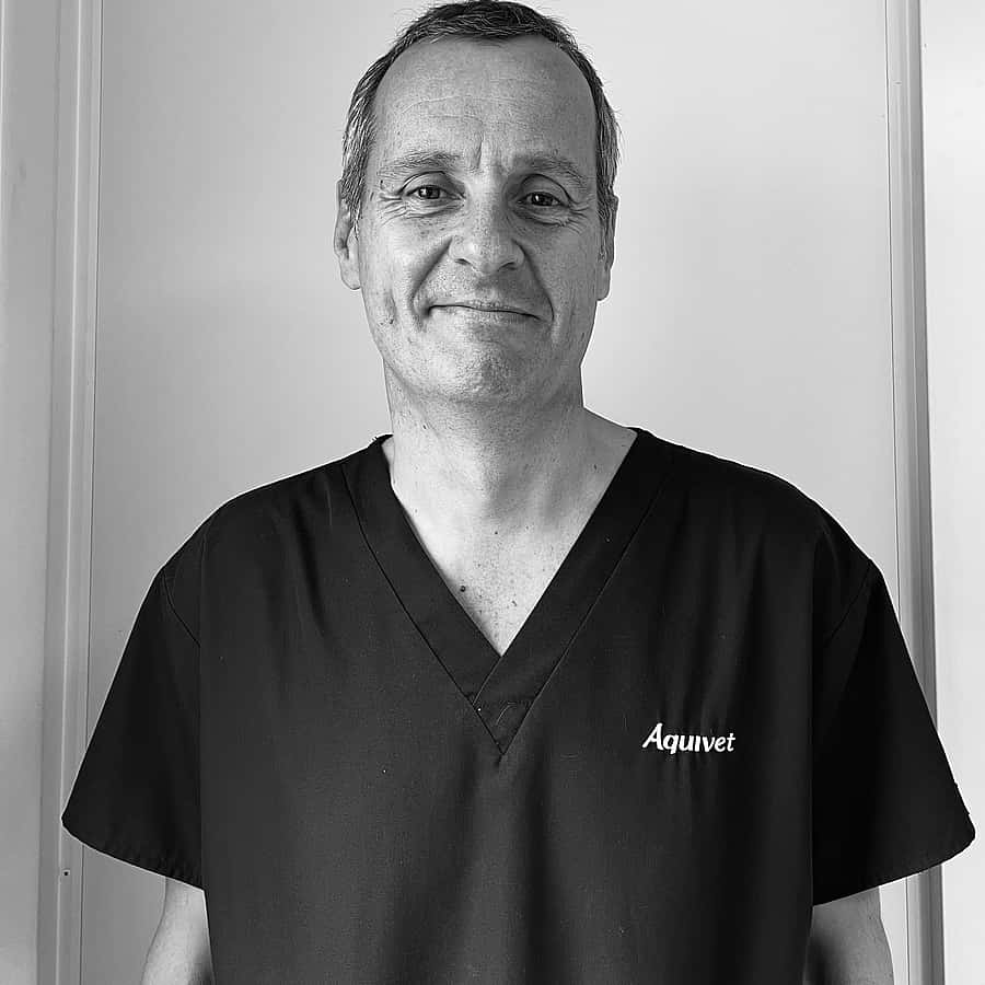 Dr. Vet. Frederic Goulle, Spécialiste en ophtalmologie vétérinaire au CHV Aquivet (près de Bordeaux)