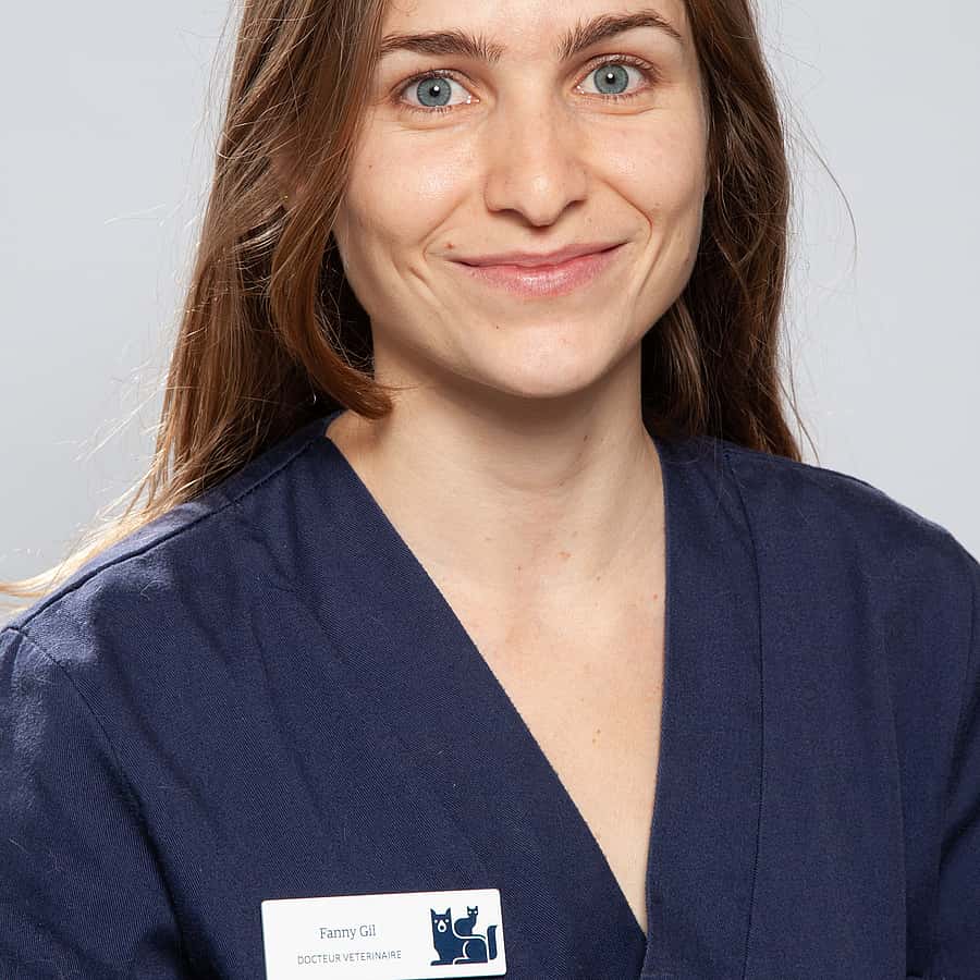 Dr. Vet. Gil