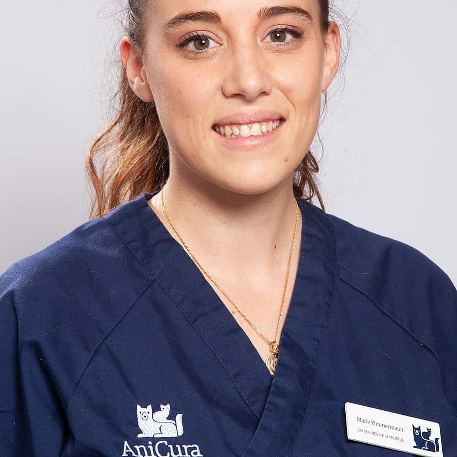 Dr. Vet. Zimmerman