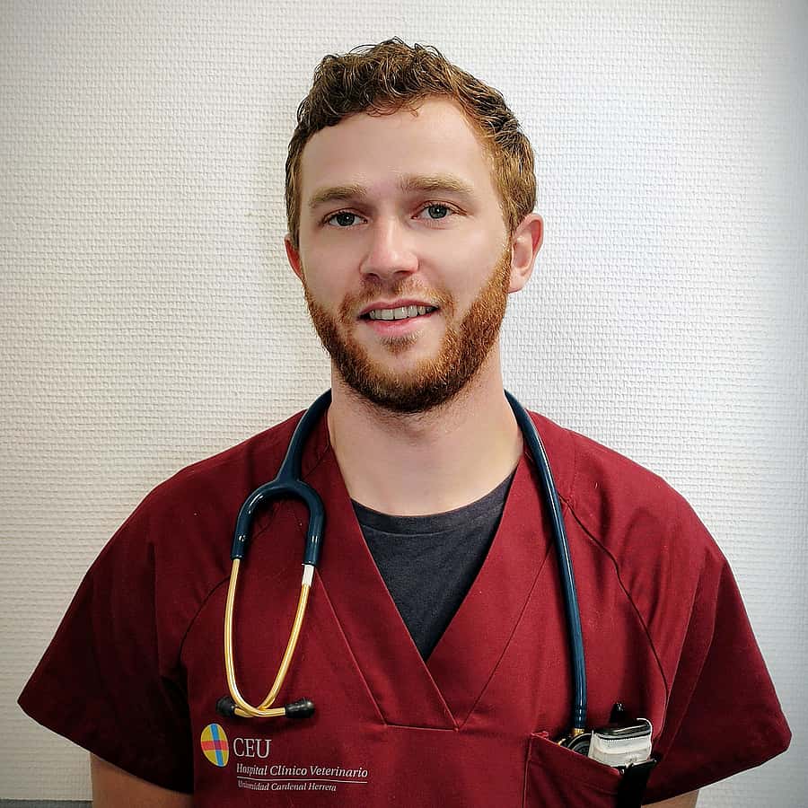 Dr. Vet. Paul Boissieras officie au sein de la clinique Vet24 en tant que vétérinaire dans les services d'urgence, de chirurgie et de soins intensif.