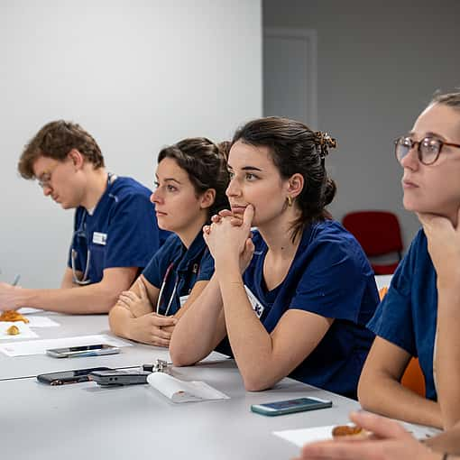 Internship des CHV au sein du CHV AniCura Nordvet à La Madeleine près de Lille