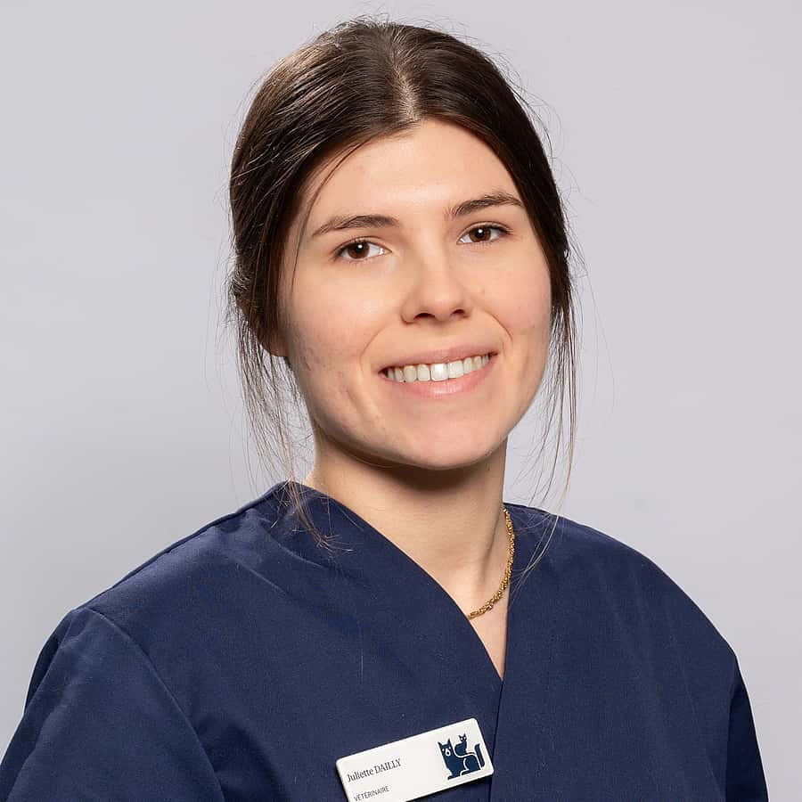 Dr. Vet. Juliette Dailly officie au sein du CHV AniCura Pommery, situé à Reims, en tant que vétérinaire clinicienne en médecine interne et neurologie.