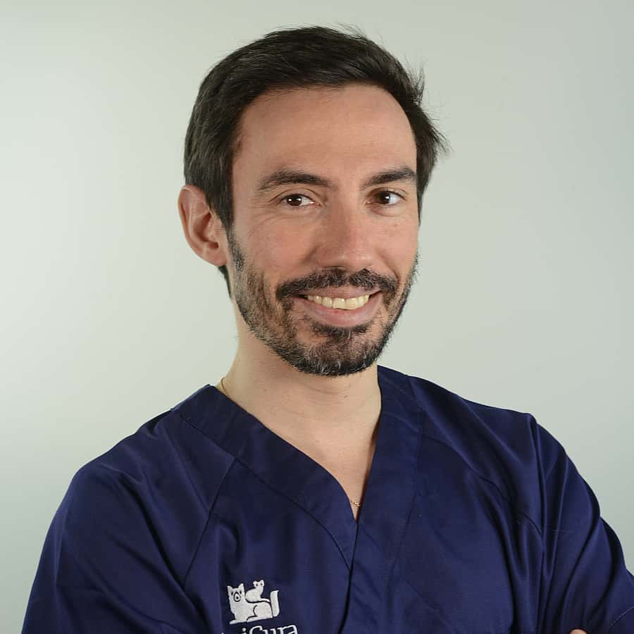 Dr. Vet. Krumeich