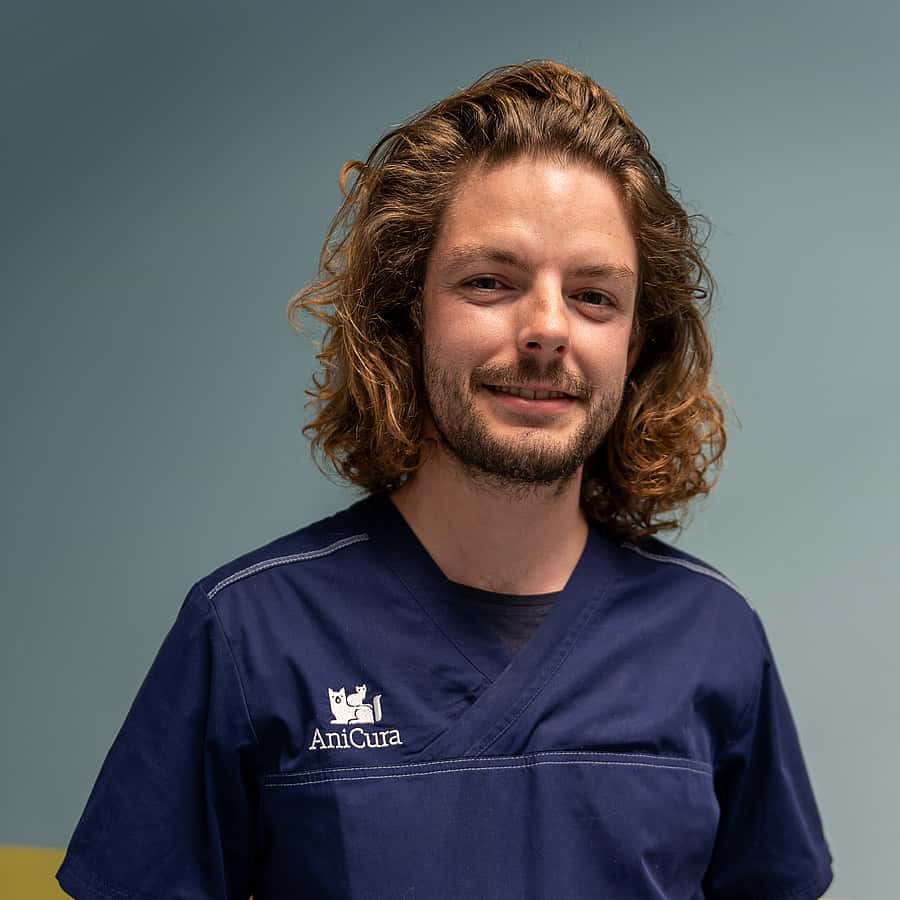 Dr. Vet. Jezequel, Médecine interne à la clinique AniCura Armonia à Villefontaine (Lyon - Bougoin-Jallieu)