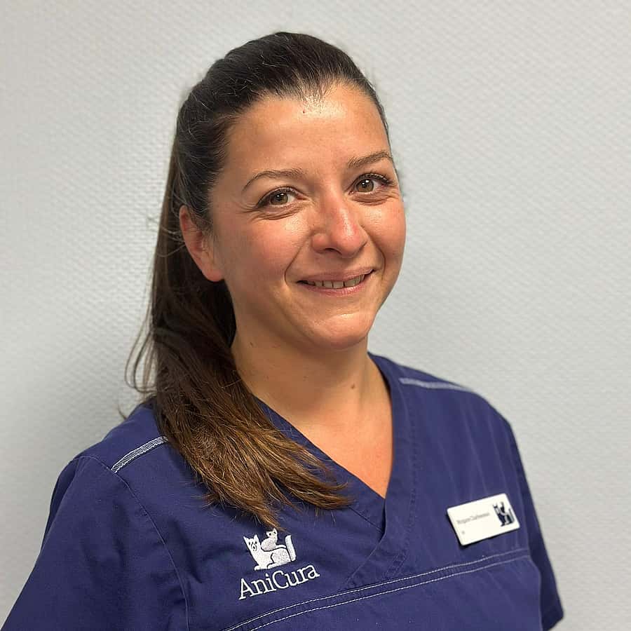 Dr. Vet. Charbonneau, Responsable secteur médecine interne/urgences à la clinique VetRef à Beaucouzé (Angers)