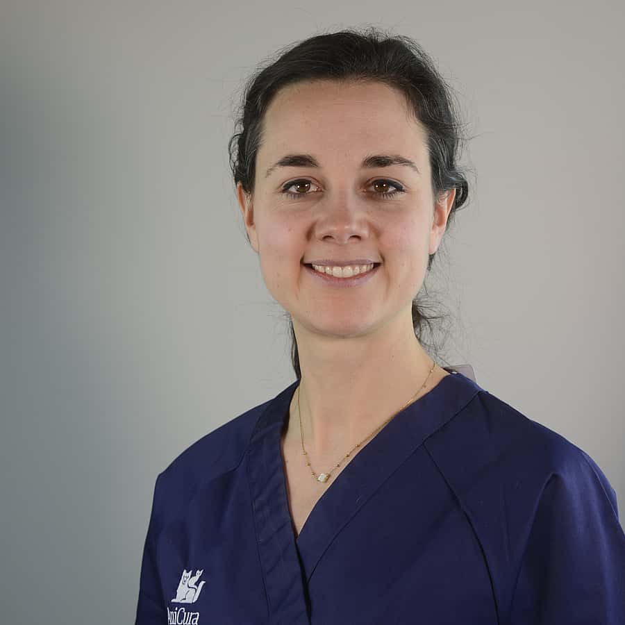 Dr. Vet. Mantelli