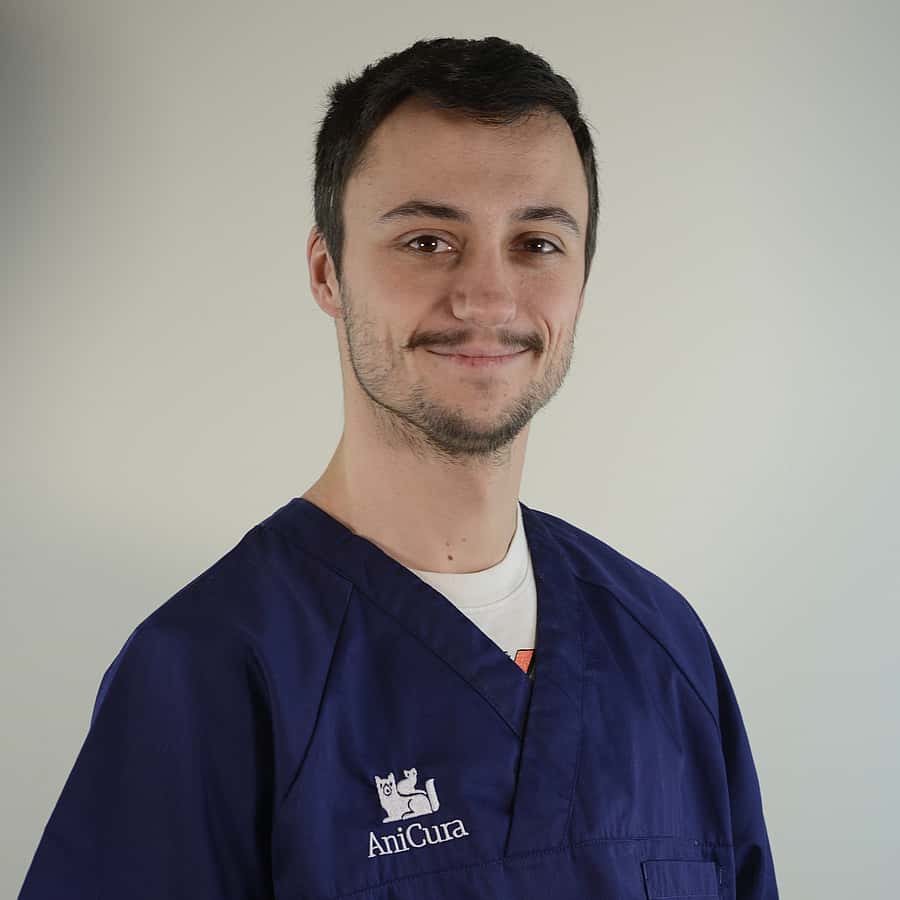 Dr. Vet. Rey