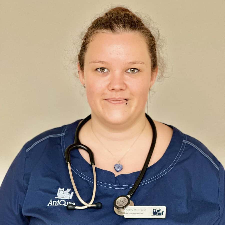 Dr. Vet. Moerenhout