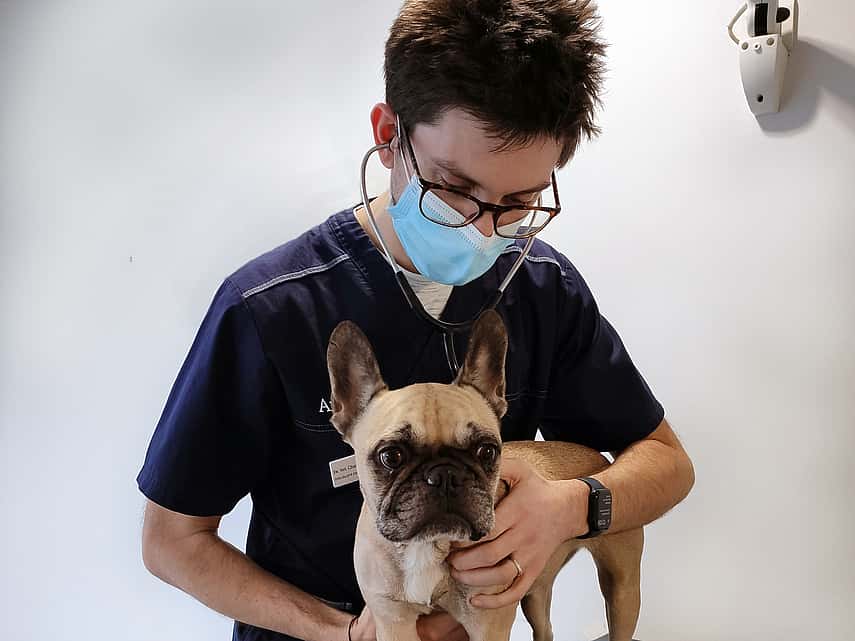 Service de cancérologie clinique vétérinaire AniCura Armonia à Villefontaine près de Lyon
