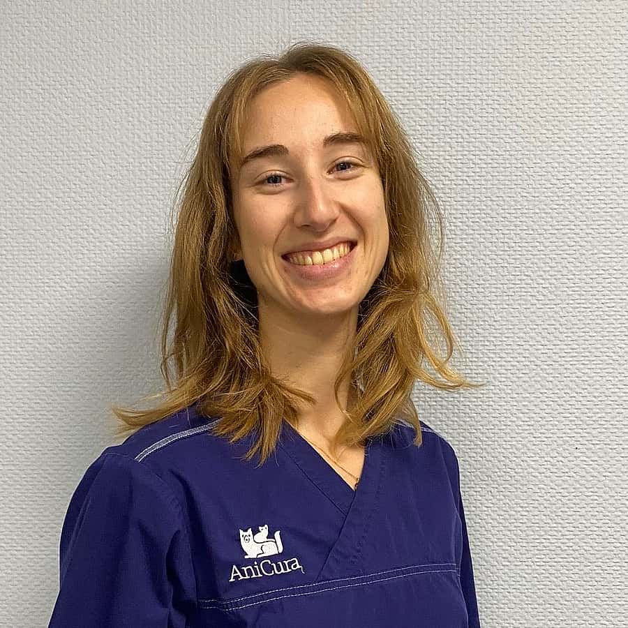 Dr. Vet. Lefrancq