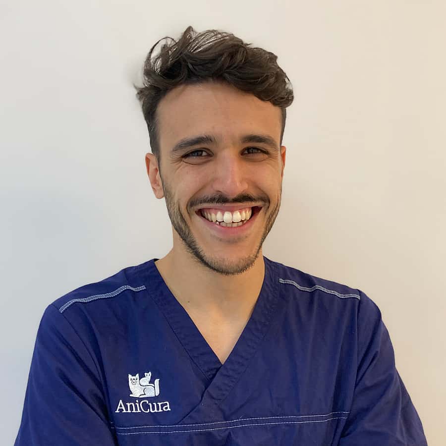 Dr. Vet. Paumier