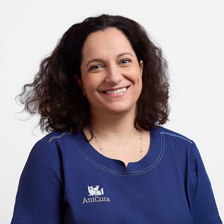 Dr. Vet. Cordon-Guisado, Médecine générale à la clinique AniCura LorraineVet à Ludres (proche de Nancy)