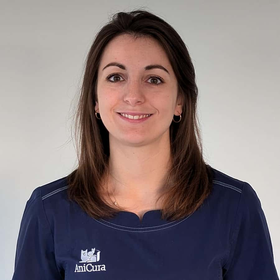 Dr. Vet. Eppling, vétérinaire en médecine générale au CHV AniCura Armonia.