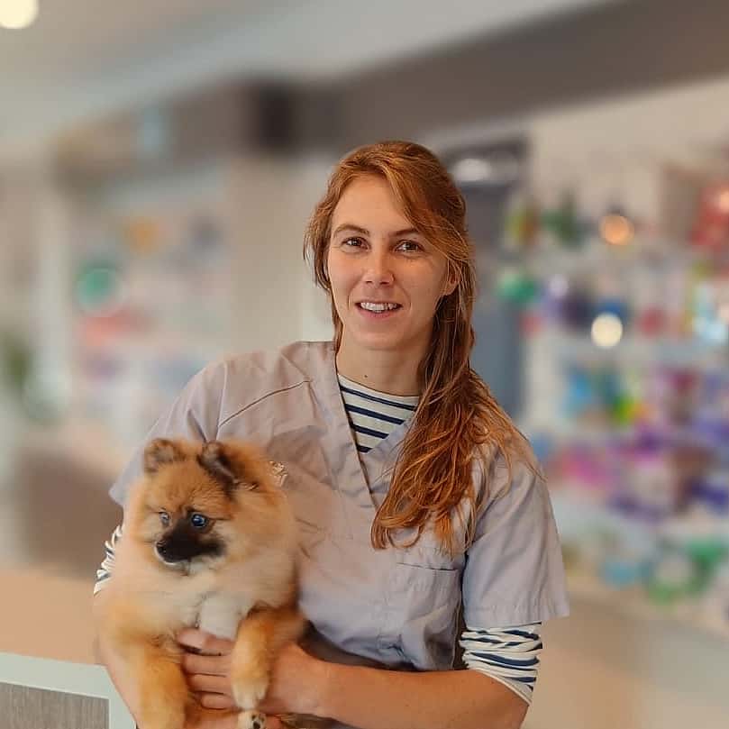 Dr. Vet. Delpierre