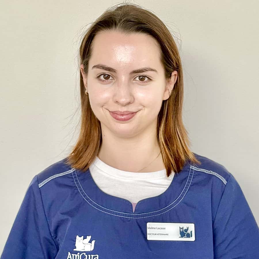 Dr. Vet. Idaline Lacasse, assistante en médecine interne au sein du CHV AniCura Nordvet à La Madeleine près de Lille
