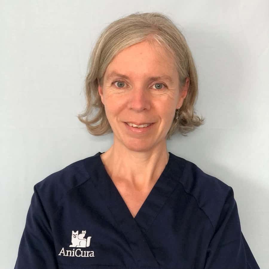 Dr. Vet. Tuillière, Médecine générale et chirurgie abdominale à la clinique Saint Roch à La Rochelle