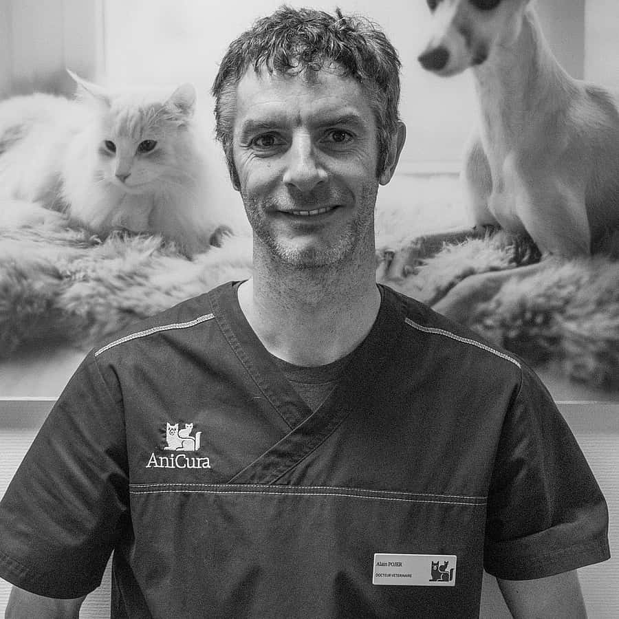 Dr. Vet. Pojer, Chirurgie et echographie à la clinique Arc en ciel à Yutz (Thionville)