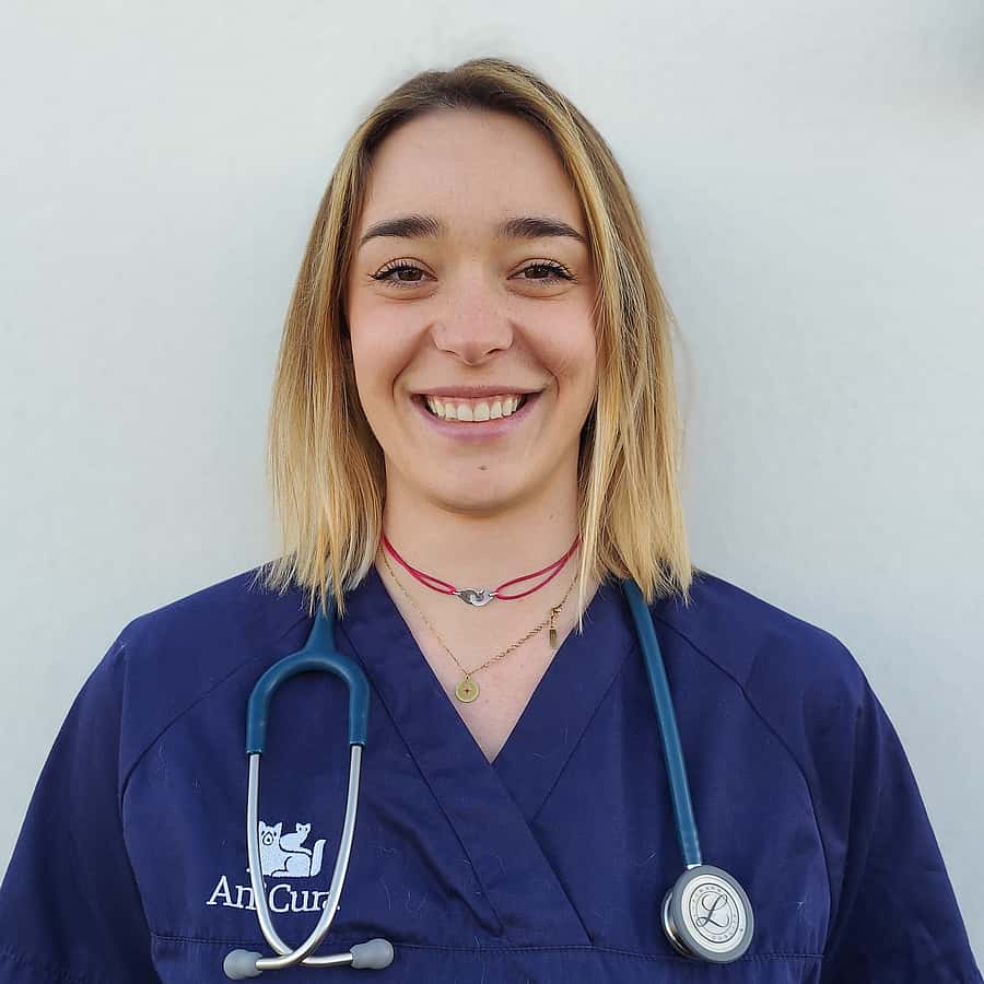 Dr. Vet. Dalby