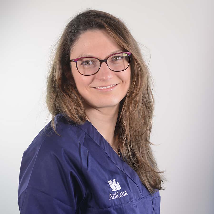 Dr. Vet. Catelain, vétérinaire en dentisterie au CHV AniCura ADVETIA à Velizy-Villacoublay