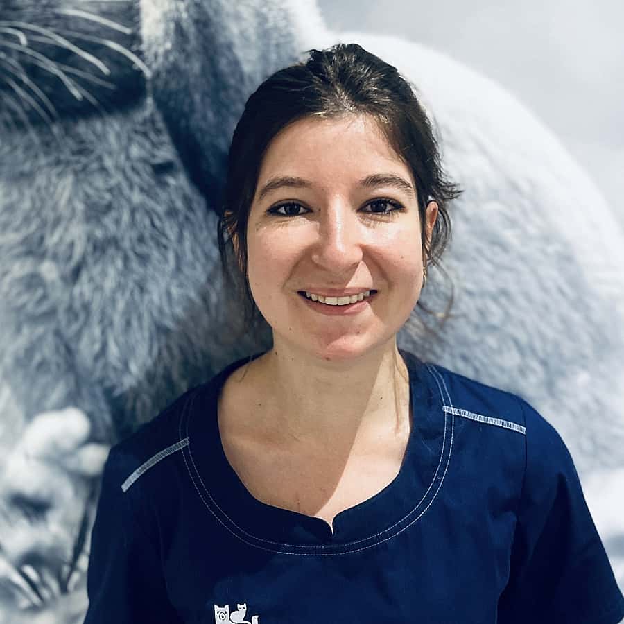 Dr. Vet. Casliti, Vétérinaire à la clinique de Belleville à Belleville-en-beaujolais (Lyon - Mâcon)