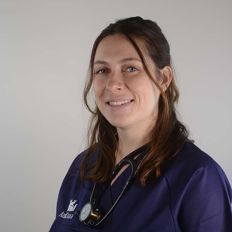 Dr. Vet. Treille