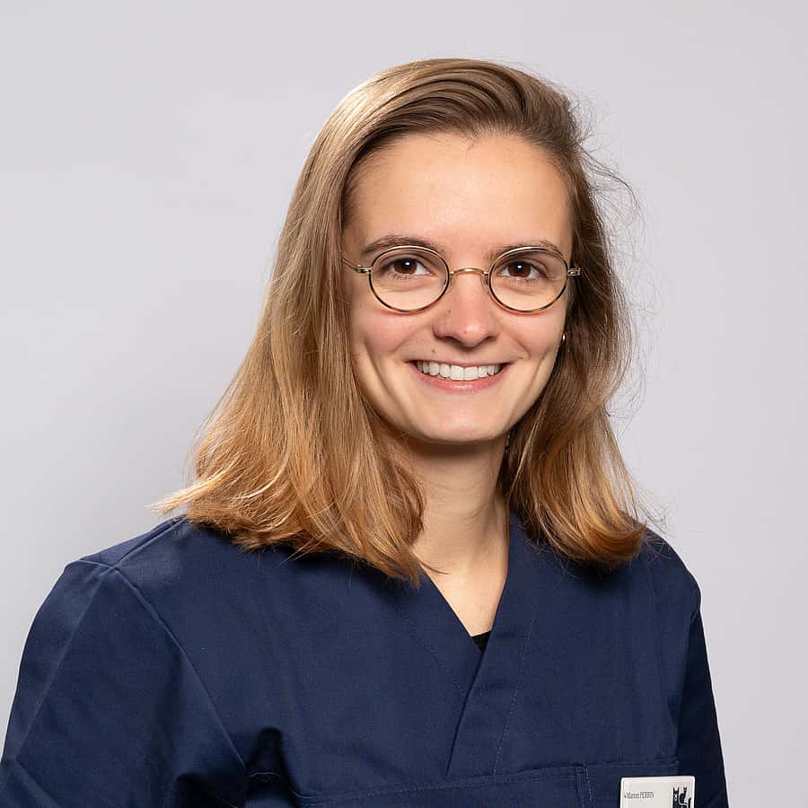 Dr. Vet. Marion Perrin officie au sein du CHV AniCura Pommery, situé à Reims, en tant que vétérinaire clinicienne de médecine interne et imagerie médicale.
