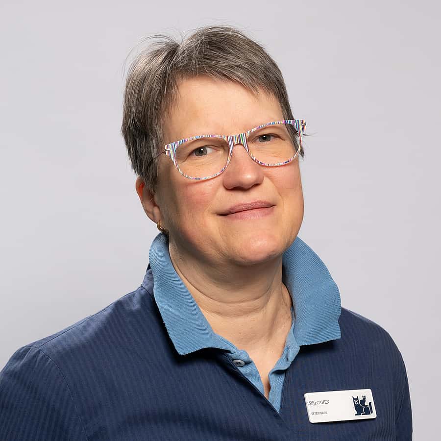 Dr. Vet. Cahen, Chirurgienne vétérinaire et physiothérapeute au CHV AniCura Pommery à Reims