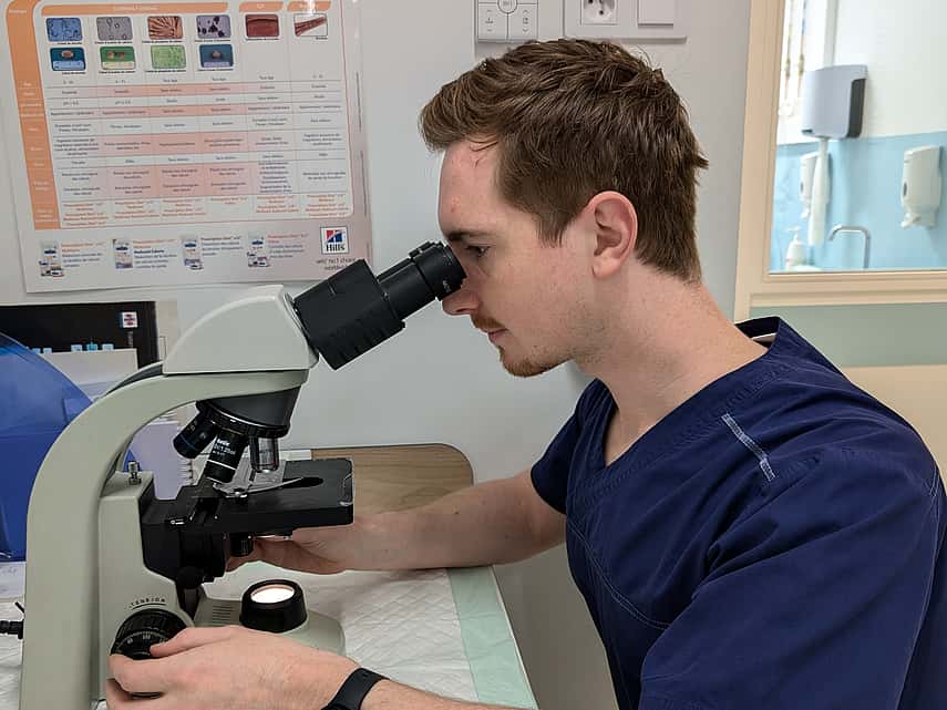 Service de dermatologie vétérinaire à Vaulx Milieu, en Isère