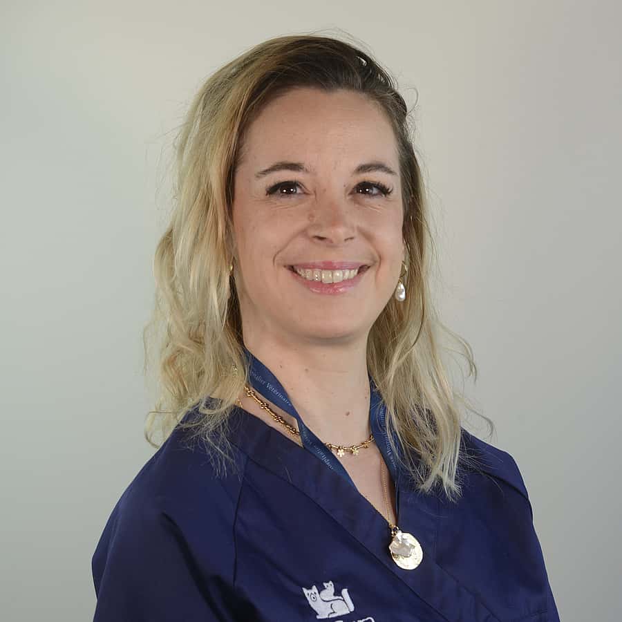 Dr. Vet. Arti