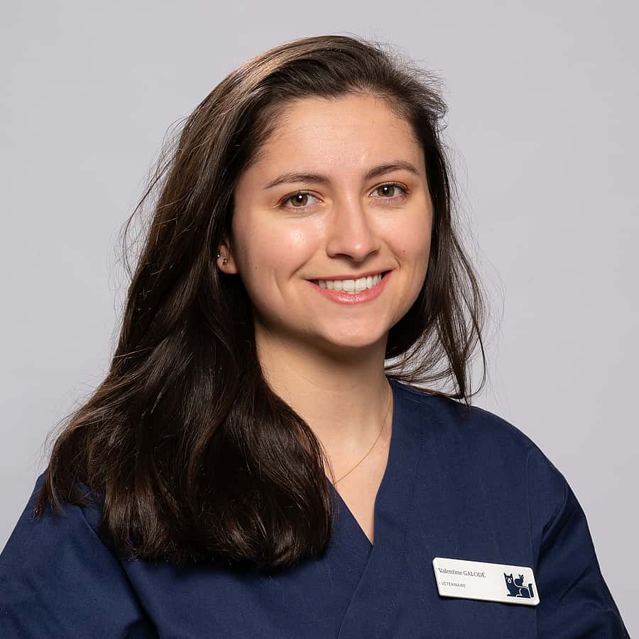 Dr. Vet. Valentine Galodé clinicienne en médecine générale et urgence au sein du CHV AniCura Pommery à Reims