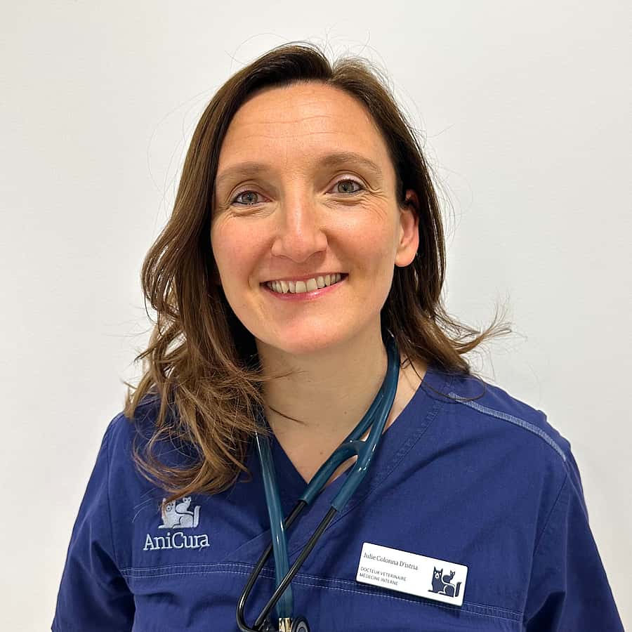 Dr. Vet. Colonna, assistante en médecine interne au CHV Aquivet (près de Bordeaux)