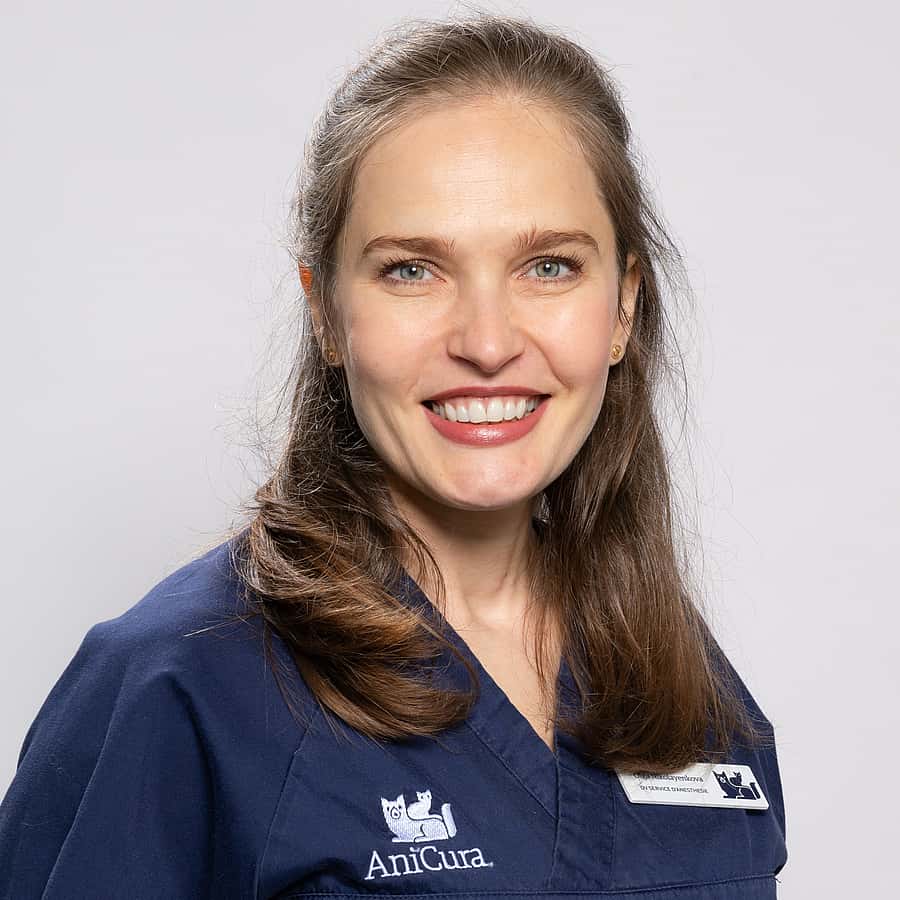 Dr. Vet. Nikokayenkova, Anésthésie et réanimation au CHV AniCura Pommery à Reims