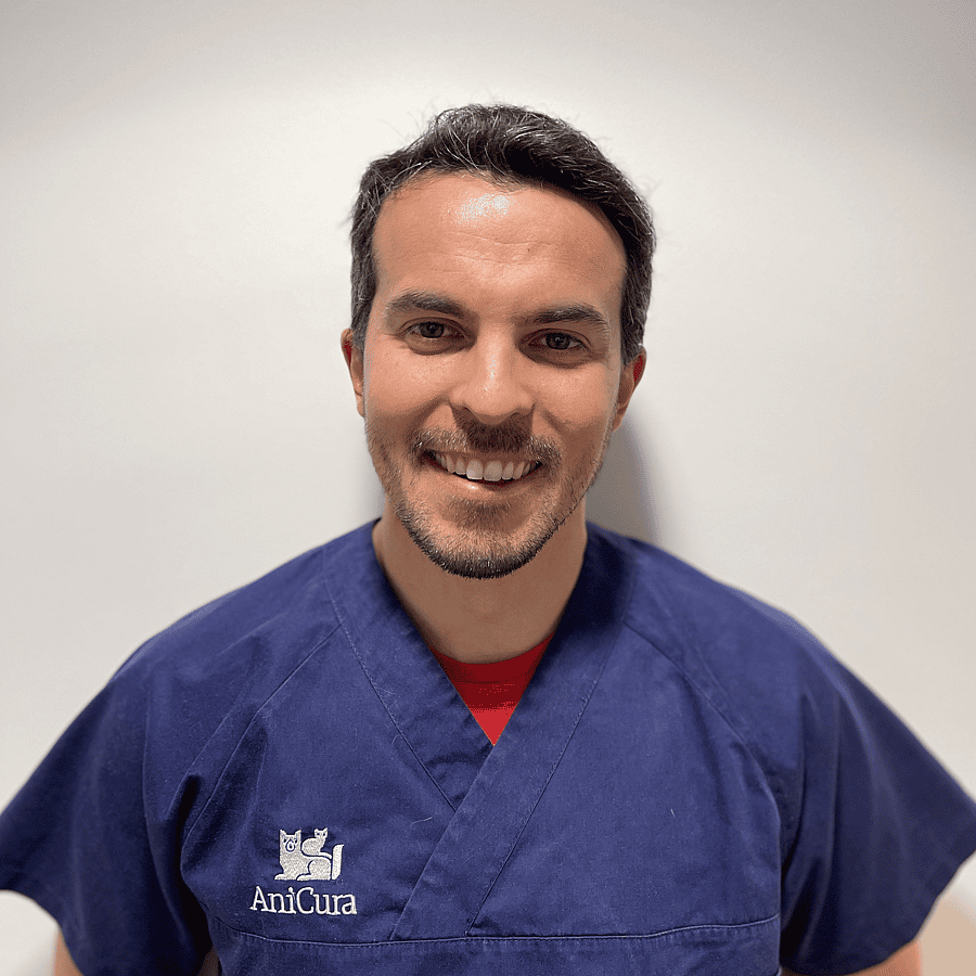Dr. Vet. Desbuquois, Médecine et chirurgie à la clinique Brocéliande à Saint Malo