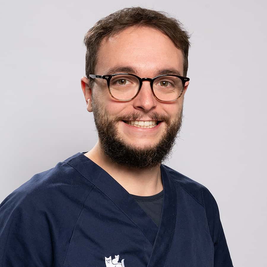 Dr. Vet. Thibaut Troupel, spécialiste européen en neurologie au sein du CHV AniCura Pommery situé à Reims