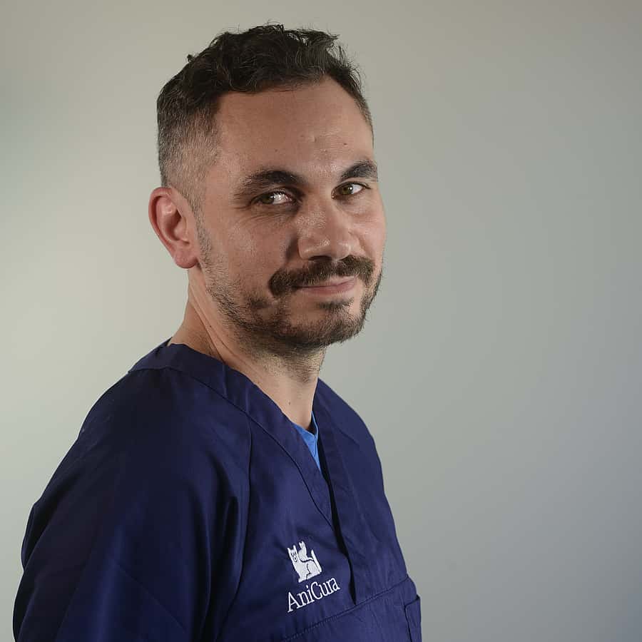 Dr. Vet. Ortion Coronis