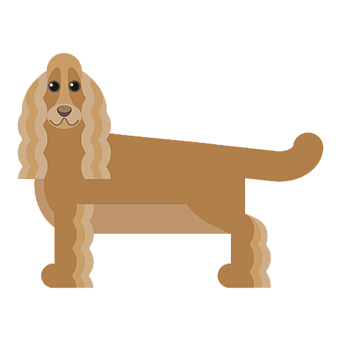 Cocker Spaniel