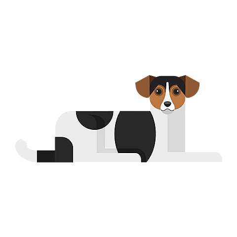 Chien de Ferme Dano-Suédois