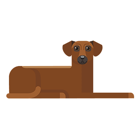 Rhodesian Ridgeback