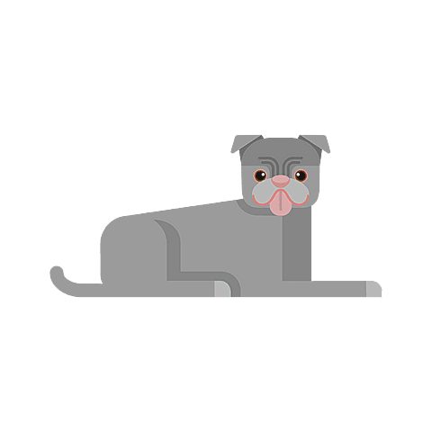 Staffordshire Bull Terrier