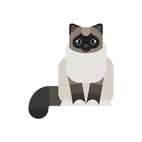 Birman