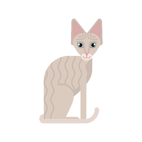 Cornish Rex