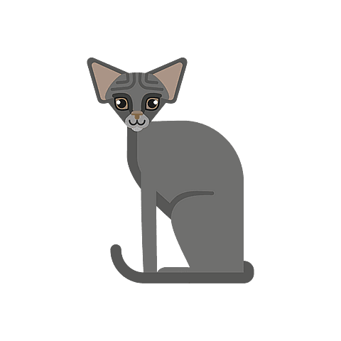 Devon Rex