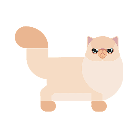 chat persan