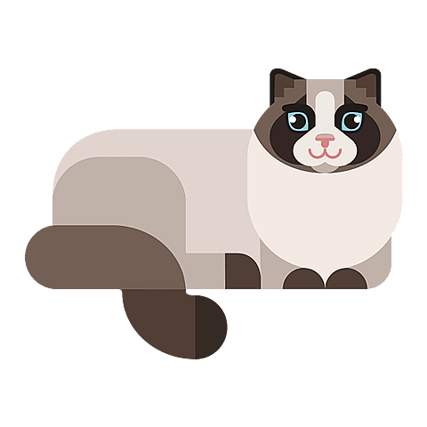 Ragdoll