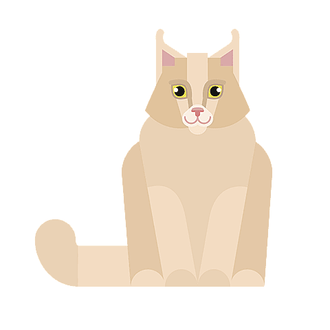 Chat sibérien